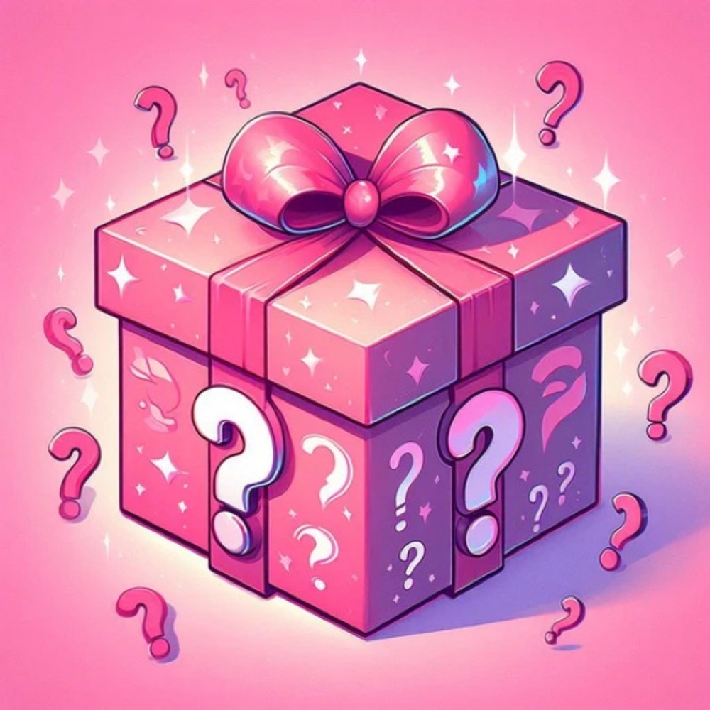 5 lb Purse Mystery Box